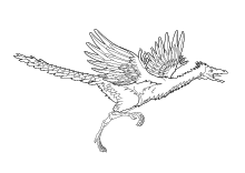 Ausmalbild Flugsaurier Archäopteris