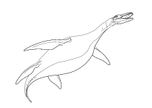 Ausmalbild Fischsaurier Ichthyosaurier