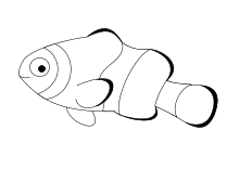 Mandala zum ausdrucken fisch Fisch Bilder