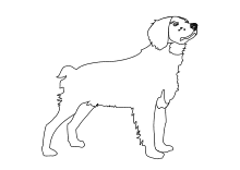 Ausmalbild Hund Bernhardiner