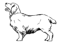 Ausmalbild Mischlings-Hund