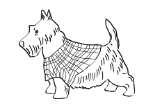 Schottischer Terrier