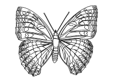 Malvorlage Schmetterlinge