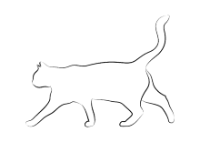 Silhouette Katze