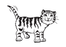 Tiger-Katze