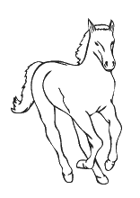 Ausmalbild Pferd am Galoppieren