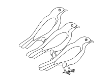 Drei Vögel sitzen auf einem Ast