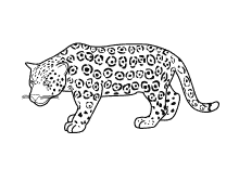 Malvorlage Jaguar