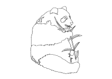 Malvorlage Panda-Bär