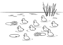 Kleine Enten