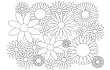 Ausmalkalender Blumenwiese - Blütenmeer