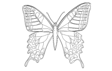 Kalendervorlage 2024 Schmetterling